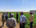 برگزاری روز انتقال یافته‌های تحقیقاتی لوبیا در پردیس تحقیقات و آموزش لوبیای خمین