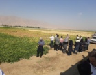 لرستان، کانون تبادل دانش کشاورزی؛ برگزاری رویداد ملی انتقال یافته‌های نوین تحقیقاتی در بروجرد و ازنا