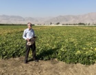 لرستان، کانون تبادل دانش کشاورزی؛ برگزاری رویداد ملی انتقال یافته‌های نوین تحقیقاتی در بروجرد و ازنا