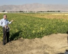 لرستان، کانون تبادل دانش کشاورزی؛ برگزاری رویداد ملی انتقال یافته‌های نوین تحقیقاتی در بروجرد و ازنا