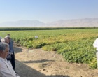 لرستان، کانون تبادل دانش کشاورزی؛ برگزاری رویداد ملی انتقال یافته‌های نوین تحقیقاتی در بروجرد و ازنا