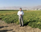 لرستان، کانون تبادل دانش کشاورزی؛ برگزاری رویداد ملی انتقال یافته‌های نوین تحقیقاتی در بروجرد و ازنا
