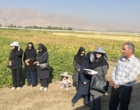 لرستان، کانون تبادل دانش کشاورزی؛ برگزاری رویداد ملی انتقال یافته‌های نوین تحقیقاتی در بروجرد و ازنا