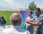 برگزاری رویداد ملی-استانی «زراعت نوین لوبیا» در قطب تولید محصول لرستان؛ از معرفی ارقام پربازده تا مدیریت نوین آفات در مزارع ازنا