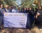 برگزاری دوره مهارتی «مدیریت برداشت و بسته‌بندی اصولی خرما» در پژوهشکده خرما و میوه‌های گرمسیری