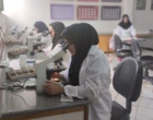 هیچ پروانه‌ای بدون آزمایش از چرخه تکثیر عبور نمی‌کند