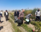 توانمندسازی بهره‌برداران منابع طبیعی با ترویج کشت گیاهان دارویی