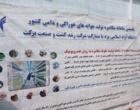 ظرفیت‌های کشت علوفه هیدروپونیک برای تولید پایدار خوراک دام بررسی شد