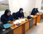 برگزاری دومین کمیته فنی ترویج محصولات فناورانه با محوریت توسعه کشت مکانیزه و بازار زعفران