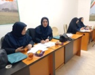 برگزاری دومین کمیته فنی ترویج محصولات فناورانه با محوریت توسعه کشت مکانیزه و بازار زعفران