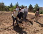 کارگاه آموزشی پرورش زعفران با هدف توسعه آموزش‌های مهارتی و انتقال دانش کاربردی کشاورزی، با حضور فراگیران و دانش‌آموزان در پردیس آموزش کشاورزی سقز برگزار شد.