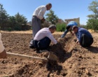 کارگاه آموزشی پرورش زعفران با هدف توسعه آموزش‌های مهارتی و انتقال دانش کاربردی کشاورزی، با حضور فراگیران و دانش‌آموزان در پردیس آموزش کشاورزی سقز برگزار شد.