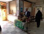 تربیت نسل پیشگام و ارزش‌آفرین در سنگر امنیت غذایی/ مزارع و آزمایشگاه‌های تحقیقاتی لرستان، پیشران مهارت‌آموزی و سکوی پرتاب هنرجویان به دانشگاه‌های برتر