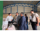 تولید بذر جو مناسب مالت در شهرضا؛ ظرفیتی برای توسعه