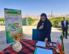 گذار از شیوه‌های سنتی به کشاورزی حفاظتی؛ راهبردهای عملیاتی برای ارتقای سلامت خاک و کاهش هزینه‌های تولید در مزارع خرم‌آباد