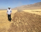 توسعه زیرساختی ایستگاه تحقیقات کشاورزی نورآباد؛ گامی راهبردی برای تبدیل دلفان به قطب تولید بذر نخود دیم مناطق سردسیر کشور