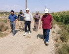 برنامه ریزی کشت پاییزه ایستگاه گلپایگان