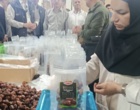 تأیید سطح بالای استانداردهای فرآوری خرما در بم توسط نماینده دفتر فائو در ایران