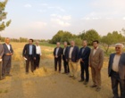 بازدید سرزده دکتر غلامرضا گلمحمدی معاون وزیر و رئیس سازمان «تات» از پردیس تحقیقات و آموزش کشاورزی بروجرد