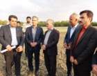 بازدید سرزده دکتر غلامرضا گلمحمدی معاون وزیر و رئیس سازمان «تات» از پردیس تحقیقات و آموزش کشاورزی بروجرد