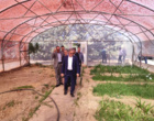 بازدید ریاست سازمان تحقیقات، آموزش و ترویج کشاورزی از پژوهشکده گل و گیاهان زینتی