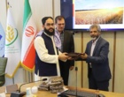 ربانی‌نسب: امنیت غذایی کشورهای همسایه در گرو همکاری‌های علمی و تبادل فناوری است