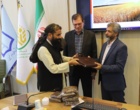 ربانی‌نسب: امنیت غذایی کشورهای همسایه در گرو همکاری‌های علمی و تبادل فناوری است