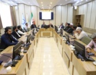 ربانی‌نسب: امنیت غذایی کشورهای همسایه در گرو همکاری‌های علمی و تبادل فناوری است