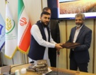 ربانی‌نسب: امنیت غذایی کشورهای همسایه در گرو همکاری‌های علمی و تبادل فناوری است