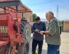 کشت ۵ هکتار مزرعه بذری کلزا رقم نیلوفر در لرستان/ تامین بذر گواهی‌شده مورد نیاز مناطق سرد و معتدل استان برای سال زراعی آینده