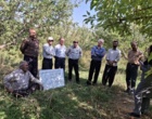رهیافت‌های نوین مدیریت تلفیقی آفت کرم خراط و مهار عوامل خسارت‌زای باغی در رویداد «روز مزرعه» مرکز جهاد کشاورزی آبستان خرم‌آباد