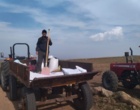 روستای «ارجستان» سرعین؛ پیشتاز اجرای کشاورزی حفاظتی و مصرف بهینه کود در دیمزارها
