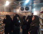 بازدید دانشجویان رشته علوم باغبانی دانشگاه اراک از پردیس تحقیقات و آموزش لوبیای خمین