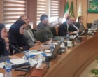 گام‌های مؤثر مؤسسه تحقیقات باغبانی در خوداتکایی بذر و ارتقای بهره‌وری تولیدات باغی