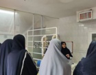 آموزش عملی فرآوری گیاهان دارویی؛ از عصاره‌گیری تا اسانس‌گیری
