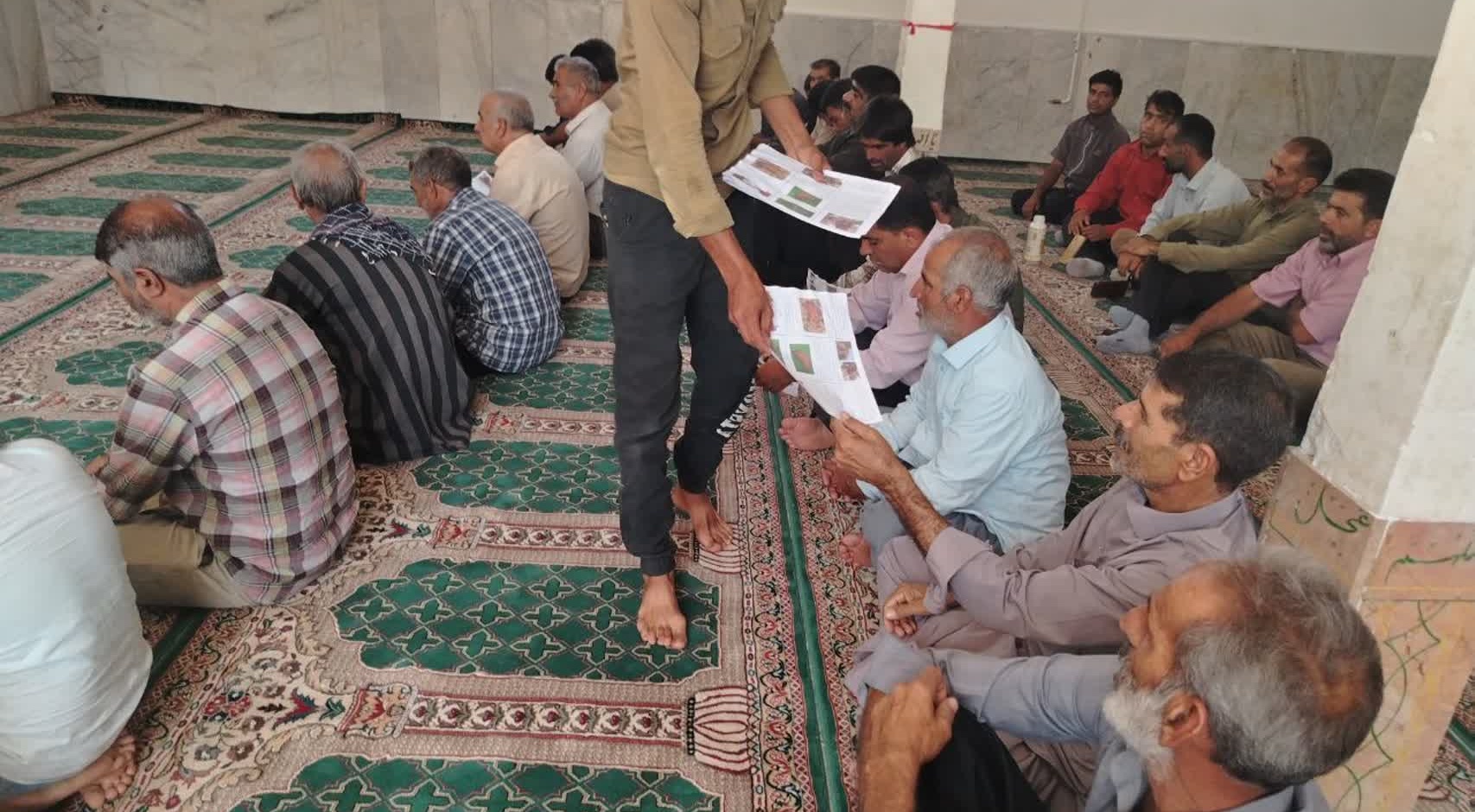 برگزاری دو دوره آموزشی ترویجی در نرماشیر با محوریت حفظ نخیلات و ارتقای سلامت روستاییان