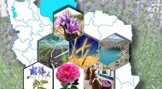 برای نخستین‌بار در کشور؛ برنامه تولید بهینه الگوی کشت گیاهان دارویی منتشر شد