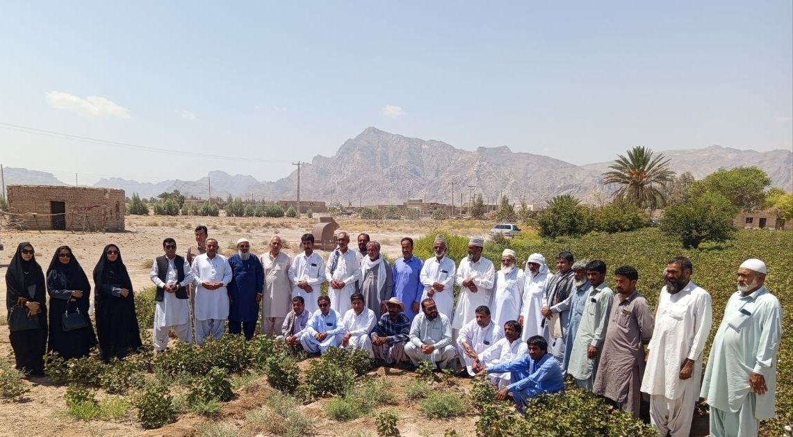 برگزاری کارگاه آموزشی ـ ترویجی  مدیریت مزارع پنبه در اولین مزرعه الگویی پنبه در شهرستان خاش سیستان و بلوچستان