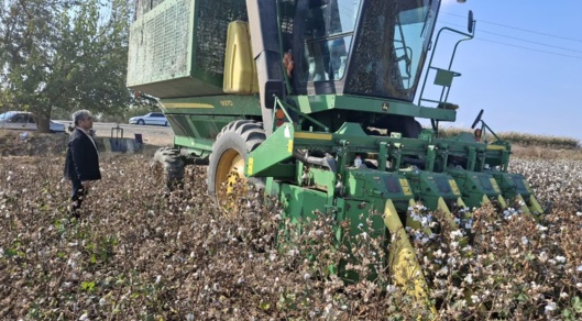 پهپادها و هورمون‌های برگ‌ریز، کلید توسعه کشت پنبه در مغان