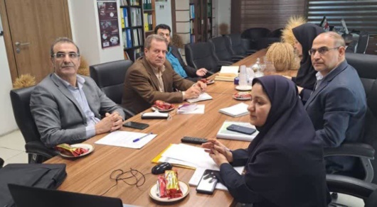 ارزیابی موفق طرح «کاهش خلأ عملکرد گندم» در نشست هم‌اندیشی معاونت زراعت