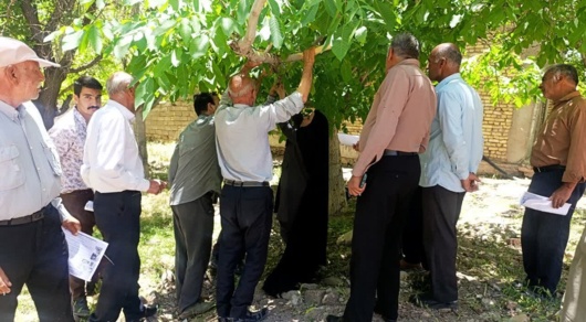 برگزاری کارگاه آموزشی مبارزه با آفت کرم خراط در روستای گریک