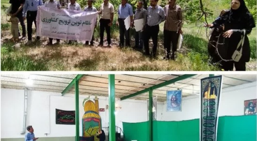 برگزاری کارگاه آموزشی مبارزه با کرم خراط و مگس میوه مدیترانه‌ای در روستای شریک آباد سیرجان