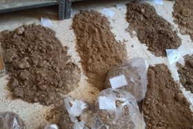 آغاز پایش مستمر خاک‌های کشاورزی بوشهر با اجرای فاز سوم طرح ملی از مهرماه ۱۴۰۴