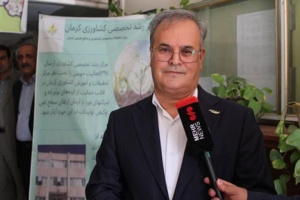 الگوی کشت جدید به کشاورزان کرمان ابلاغ شد
