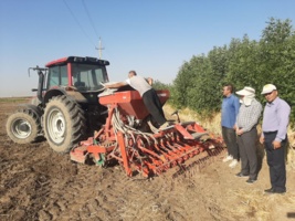 آغاز کشت‌های پاییزه با کاشت کلزا در ایستگاه‌های مهرگان و اسلام‌آباد کرمانشاه