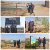 بازدید رئیس موسسه تحقیقات فنی مهندسی کشاورزی از مزرعه تحقیقات شوری صدوق