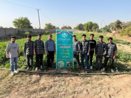 برداشت موفقیت‌آمیز پروژه آموزش همراه با تولید لوبیاچشم‌بلبلی در تابستان ۱۴۰۴