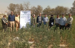 برگزاری روز مزرعه کینوا در شهر قدس