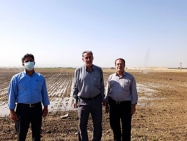 بازدید از مناطق فشافویه و کهریزک