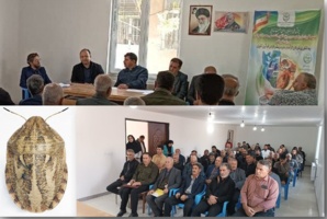 تغییرات اقلیمی و تأثیر آن بر احتمال افزایش جمعیت سن گندم